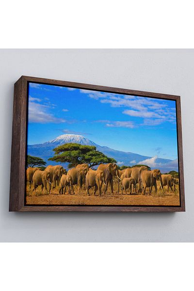 Harita Sepeti Tablou decorativ pe pânză Elephant Ride în cadru-1143