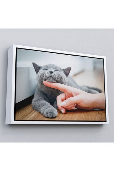 Harita Sepeti Tablou decorativ pe pânză cu pisică drăguță înrămată-6505