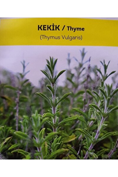 ALPAGRO MONDE Hobi Paket Yerli Doğal Kokulu Kekik Tohumu Yaklaşık 85 Tohum
