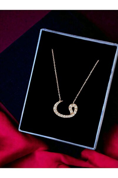 Alaja Silver Vav Beyaz Taşlı Rose Tasarım 925 Ayar Gümüş Kolye