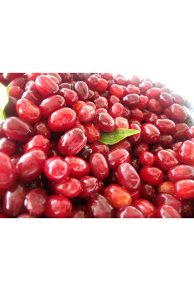 Anadoludan Gelsin Erzurum Ipek Gurme Doğal Kızılcık Kurusu Güneşte Kurutma (250 GR)