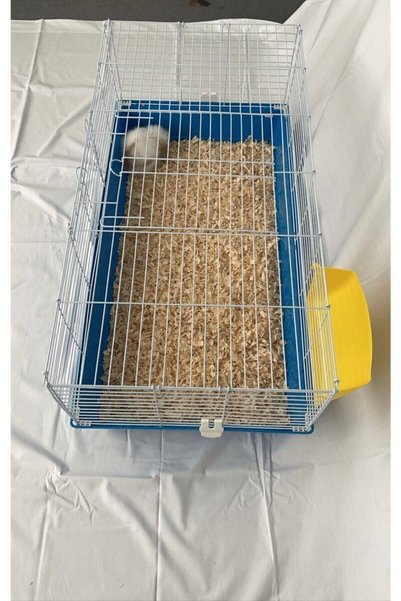 EuroGold Mega Büyük Boy Tavşan Guinea Pig Kemirgen Kafesi 100x52x040 cm