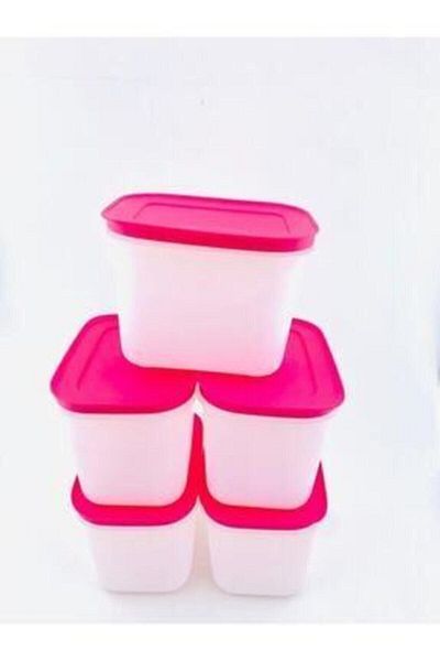 Tupperware Alaska Set of 5 - 1.1 Lt Capacity