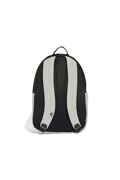 adidas Gray Wntr Bp Backpack - IM5524