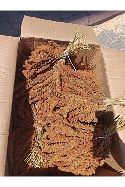 Gür Dal Darı Jumbo Boy Muhabbet Kuşu Yemi 16 Kg