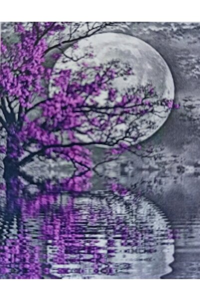 MENTAŞ Boncuklu Goblen 5d Taşlı Mozaik Elmas Goblen Diamond Picture Kıt 30x40...