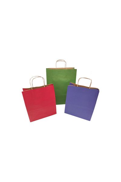roco paper Christmas Large Paper Bag - Red Blue Green 3 Pieces 25X12X31 cm 31X12X41 cm