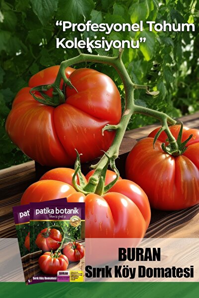 Patika Botanik 10 Adet Buran Domates Tohumu