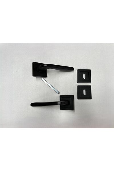 HOMDEP Zamak Lama Model Door Handle with Black Badge