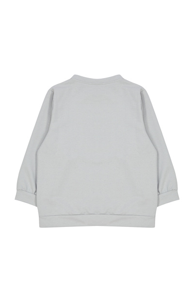 TRENDYOLKIDS Boy's Gray Seasonal Sweatshirt - Thin Space Pattern, Crew Neck Tkdaw25sw00005