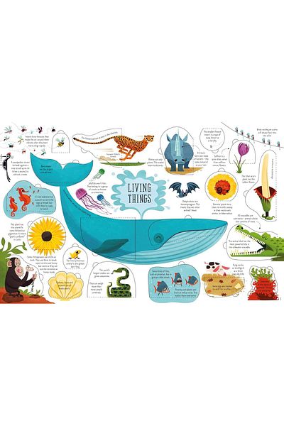 Penguin Books Alex Frith's Lift-the-flap General Knowledge Board Book - International Edition