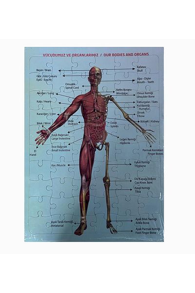 Sole 2-Piece Educational Puzzle Set Türkiye Map 50 Pieces And Human Anatomy 60 Pieces