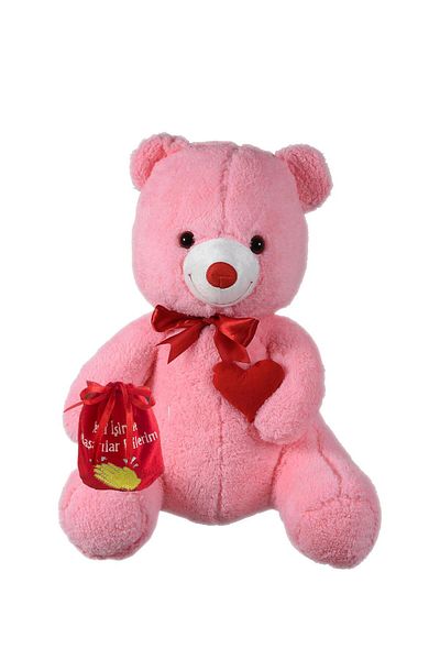 Sole Romantic "Success in Your New Work" Plush Bear with Chocolate