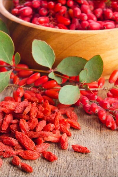 doğaşık Doğal Iyilik Kaynağı: 2 Adet Goji Berry Fidanı Ile Bahçenizde Mucizel...