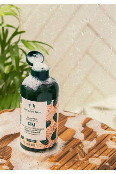 THE BODY SHOP 250 ml Shea Renewing Shampoo