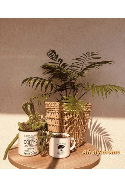 afralya home Bambu Hasır Saksı 28 Cm Çap