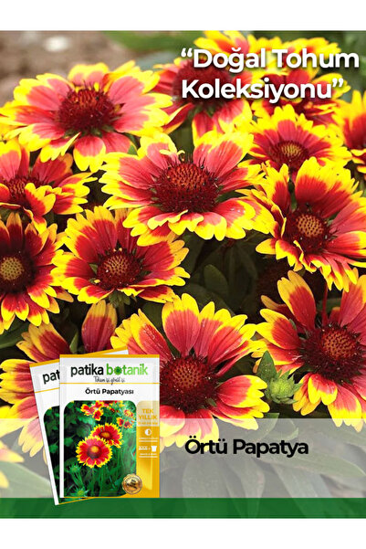 Patika Botanik 50 Adet Örtü Papatyası Tohumu