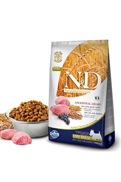 N&D Nd Mini Adult Düşük Tahıllı, Kuzu Etli Ve Yaban Mersinli Yetişkin Köpek M...
