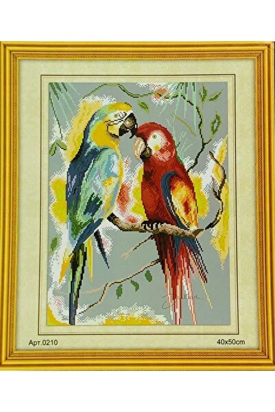 Genel Markalar Goblen Etamin Işleme Seti 40x50 Cm 210