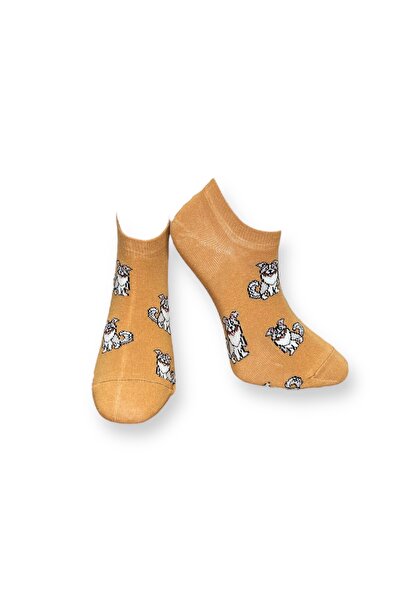 Mevo Unisex Köpek Patik Çorap