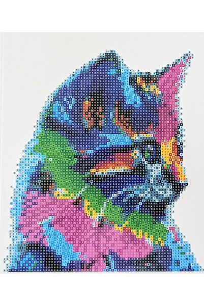 MENTAŞ Boncuklu Mozaik Elmas Boyama Paıntıng 21x25cm Çocuklar Için