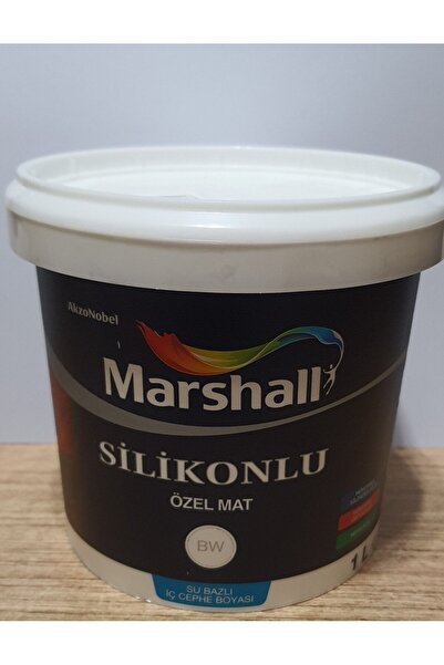 Marshall Silikonlu Özel Mat Boya 1 lt
