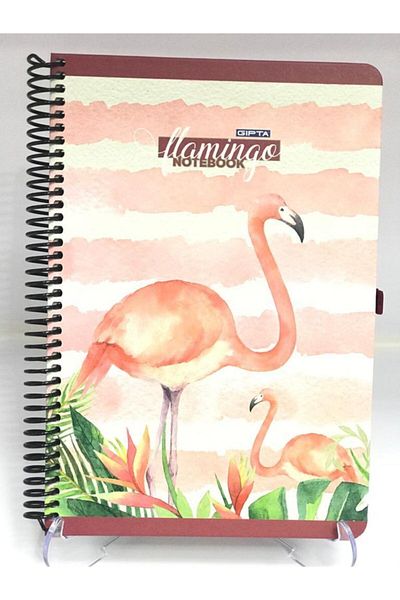 Gıpta 100 Sheets Lined Flammingo Wire Hard Cover Notebook - 17x24