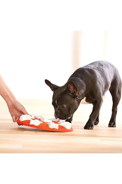 Outward Hound Dog Smart İnteractive Puzzle Köpek Zeka Oyuncağı ve Mama Kabı