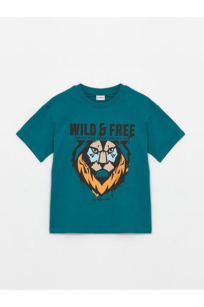 LC Waikiki Тениска за момче - LCW Kids, удобна кройка, кръгла яка
