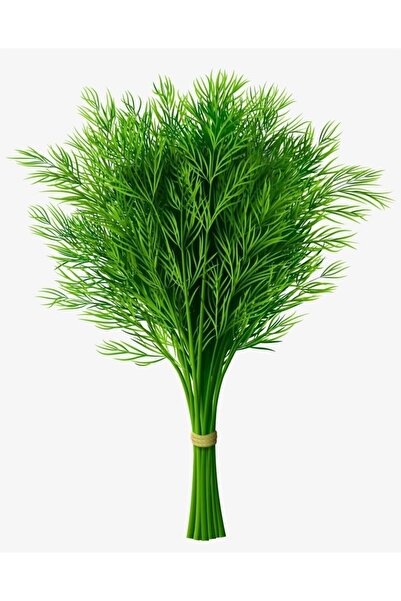 ALPAGRO MONDE Hobi Paket Yerli Doğal Yeşillik Dereotu Tohumu 165 Ad. Sebze To...