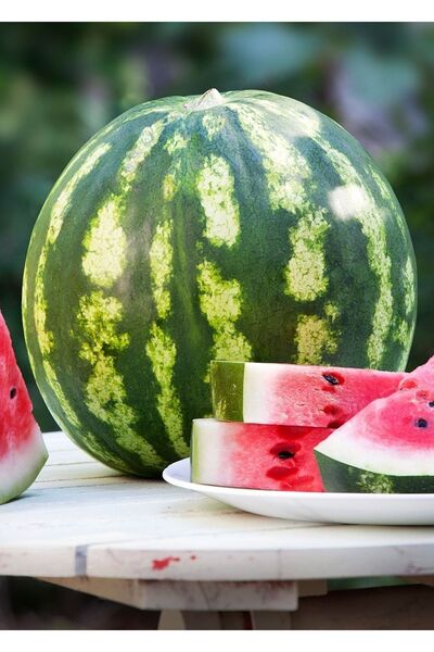 AGRODAL TARIM Ata Tohumu Yerli Doğal Diyarbakır Karpuzu C.sweet Tipi 100 Ad. ...