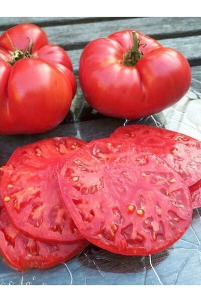 AGRODAL TARIM Ata Tohumu Yerli Doğal Iri Oturak Meşhur Nergele Domatesi Tohum...