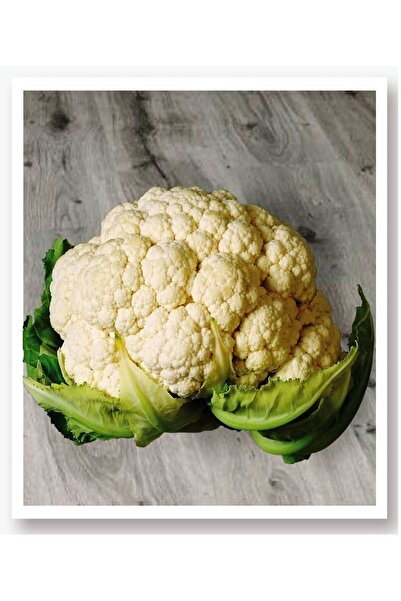 AGRODAL TARIM Yerli Doğal Verimli Karnabahar 100 Adet Sebze Tohumu