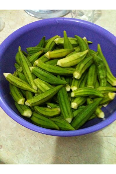 AGRODAL TARIM Ata Tohumu Yerli Doğal Sultani Bamya Tohumu 100 Ad. Sebze Tohumu