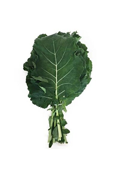 AGRODAL TARIM Ata Tohumu Yöresel Yerli Kara Lahana Karadeniz Lahanası, Yaprak...