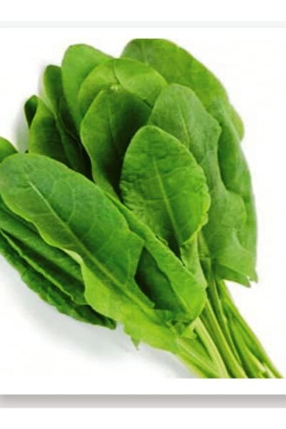 AGRODAL TARIM Ata Tohumu Yerli Doğal Yeşillik Kuzukulağı Gürsel 1000 Adet Seb...