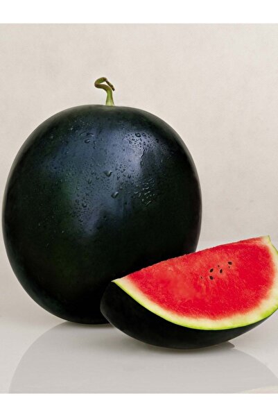 AGRODAL TARIM Yerli Doğal Siyah Karpuz Washington Tipi 50 Ad. Sebze Tohumu