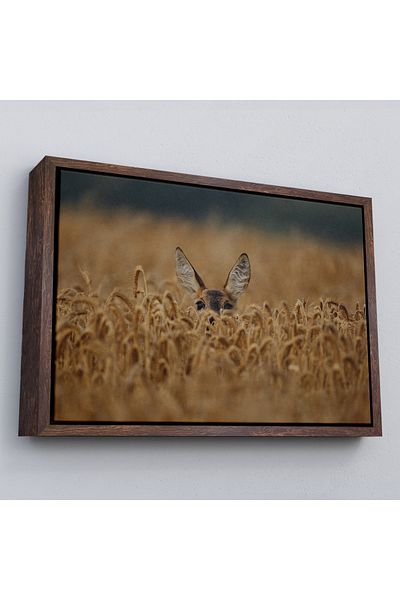 Harita Sepeti Tablou decorativ pe pânză Gazelle în cadru-1145