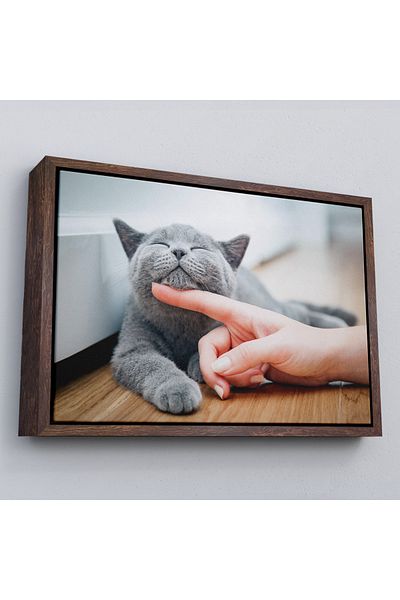 Harita Sepeti Tablou decorativ pe pânză cu pisică drăguță înrămată-6505