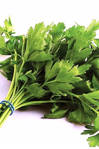 ALPAGRO MONDE Hobi Paket Yerli Doğal Iri Yaprak Maydanoz 285 Tohum