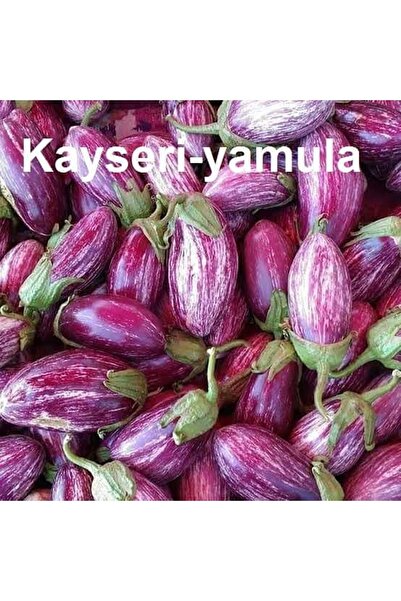 ALPAGRO MONDE Hobi Paket Yöresel Kayseri Yamula Patlıcanı Pijamalı Patlıcan 16 Adet Tohum