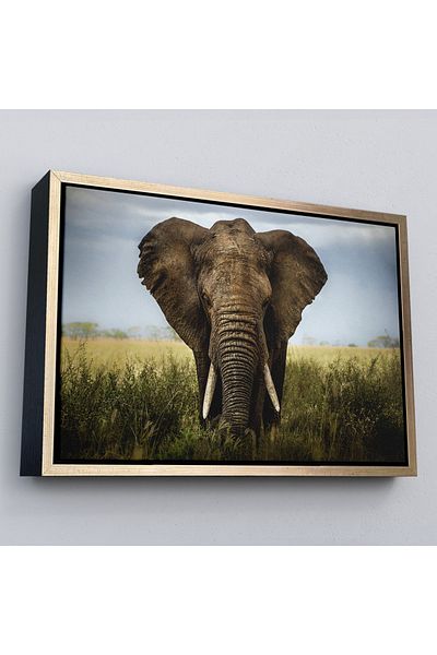 Harita Sepeti Tablou decorativ pe pânză elefant înrămat-1121