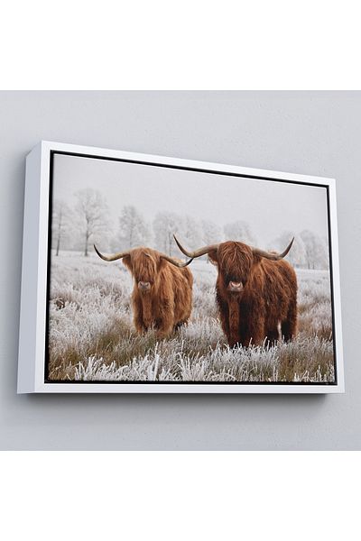 Harita Sepeti Pictură decorativă pe pânză cu bovine din Scoția în cadru-1150