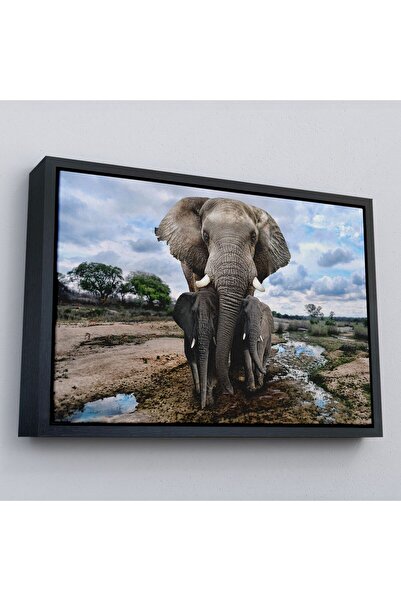 Harita Sepeti Uramljeni slon i njegove bebe, dekorativna slika na platnu-1134