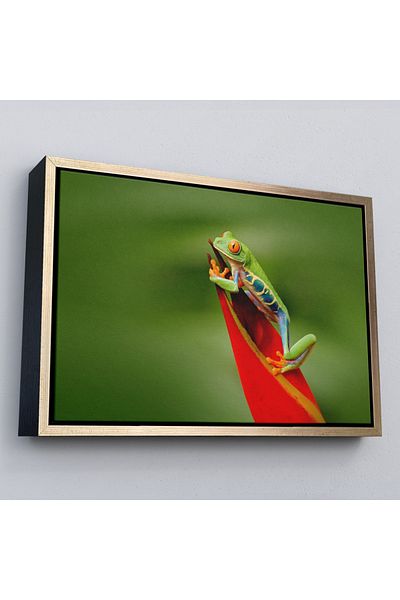 Harita Sepeti Tablou decorativ pe pânză cu broască colorată înrămată-1136