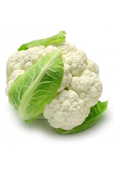 ALPAGRO MONDE Hobi Paket Yerli Doğal Yüksek Verimli Karnabahar Tohumu 23 Ad. ...