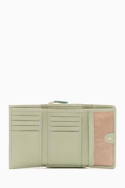 DAMY Mint K925 - Modern Women's Wallet with Snap Fasteners and Zipper, Medium Size Hand Portfolio