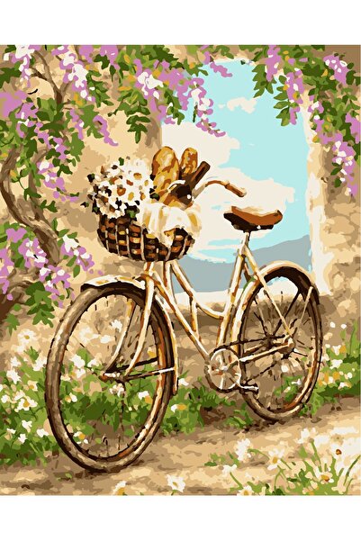 Lamba Cini Sayılarla Boyama Kasnaklı Tablo Seti Fırça Boya Dahil 40x50 Bisiklet