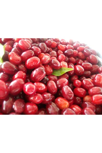 Anadoludan Gelsin Doğal Kızılcık Kurusu Güneşte Kurutma (500 gr)