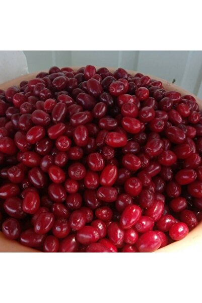 Şifa Kızılcık Kurusu Ev Yapımı 1kg